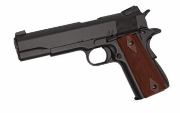 Dan Wesson A2, CO2 pistol